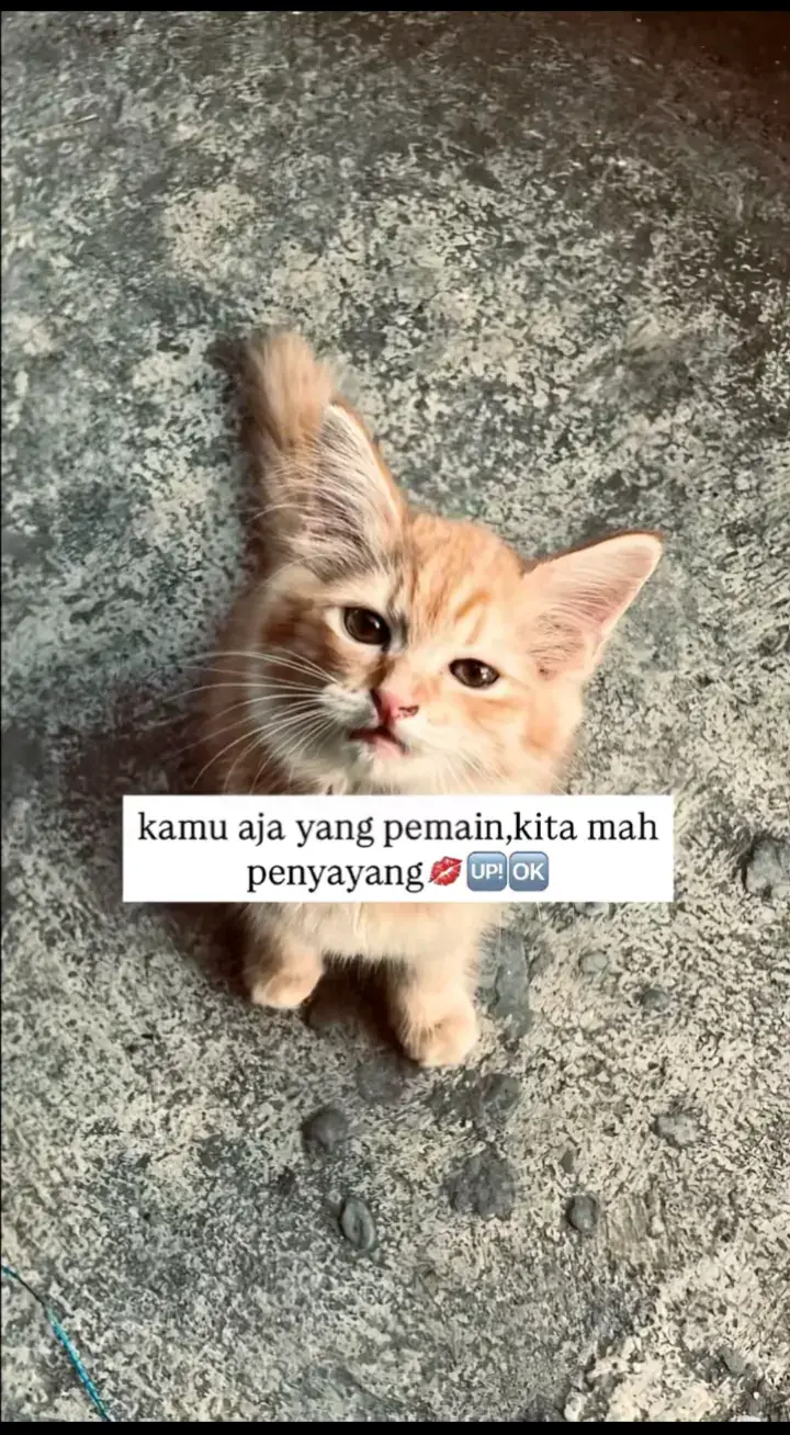 #trending #fyp #foryou 