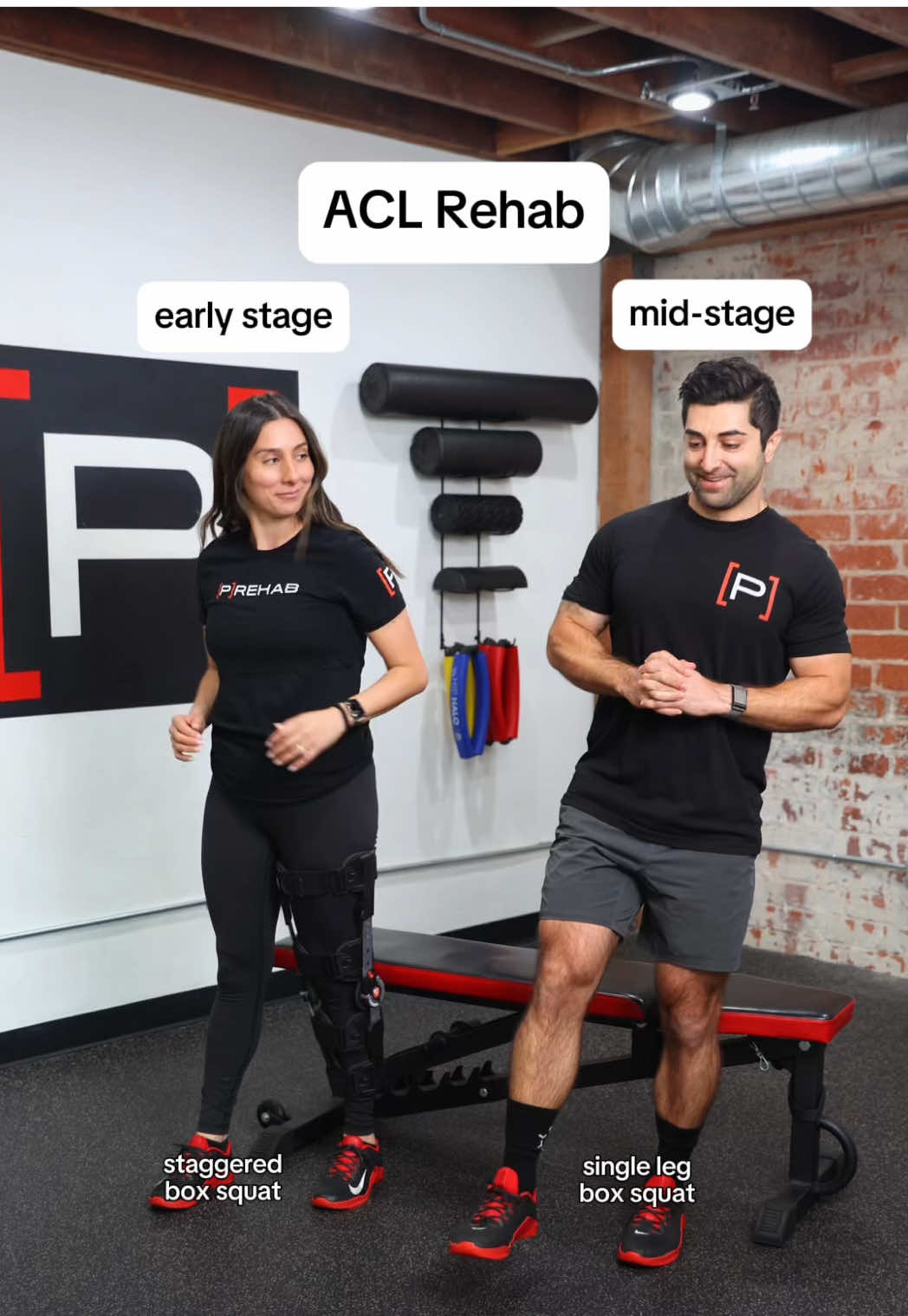 In honor of our PTs favorite: ACL! We’re celebrating PT Month with 25% off our Exercise Library. Click the link in bio to claim 👀 #prehab #acl #physicaltherapy #exercise 
