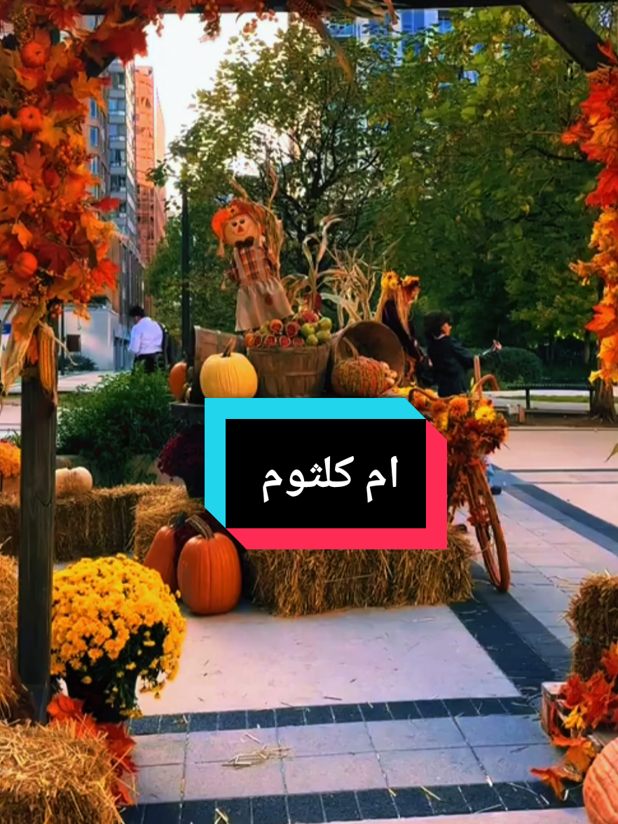 من بريق الوجد في عينيك اشعلت حنيني 🤎🍂#ام_كلثوم #الزمن_الجميل #امكلثوم #مصر_السعوديه_العراق_فلسطين #مشاهير_تيك_توك_مشاهير_العرب 