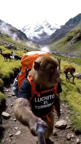 #treeking #paisajes #aventura #camping #huayhuash 