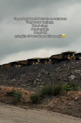 Semoga PT.Thiess terus ada di indonesia🥹 #operatormuda #storyanaktambang #tambanghits 