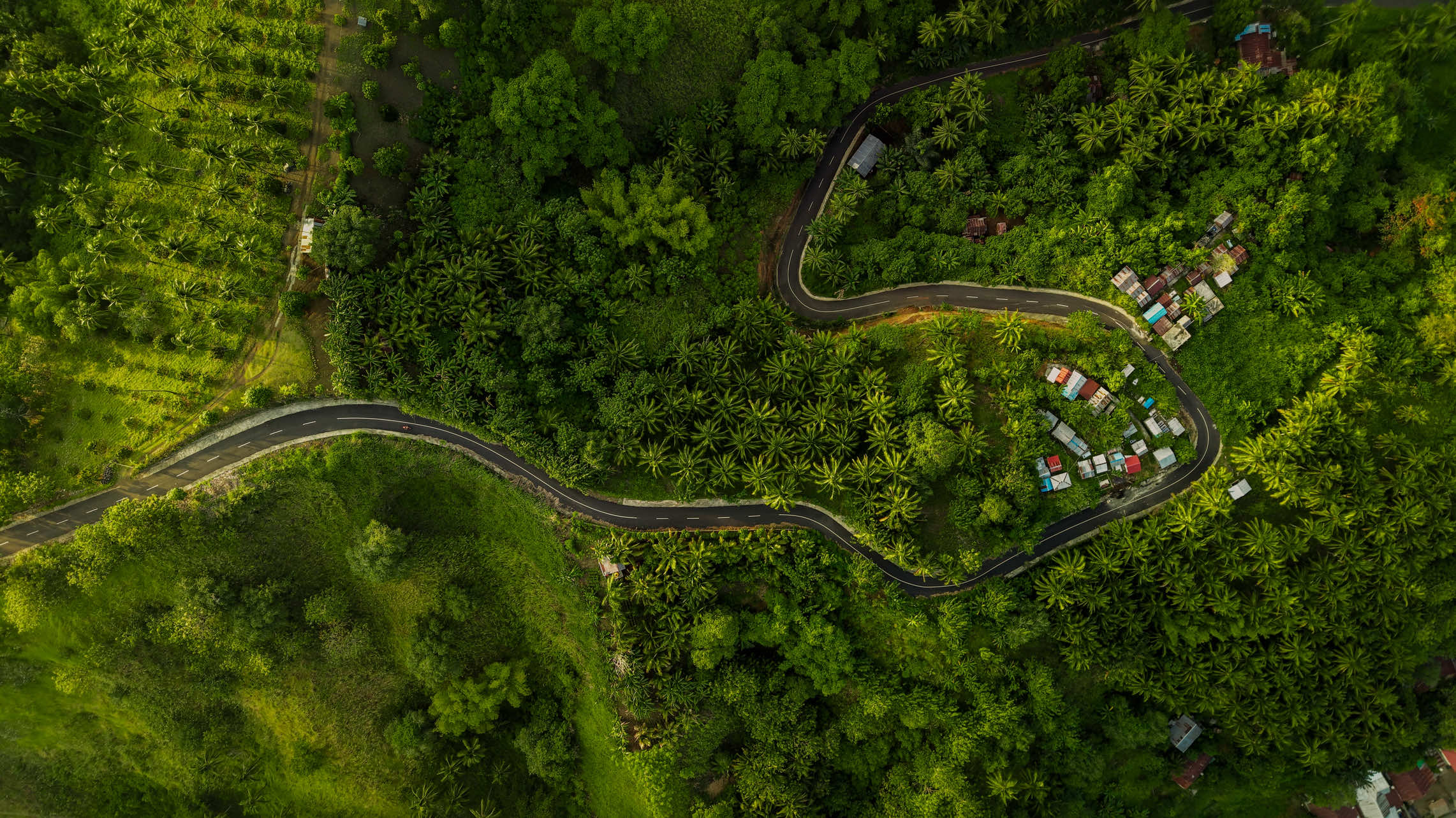 Magical place from minsel 😻 #fyp #bukitsasayaban #minahasa #fyppppppppppppppppppppppp 