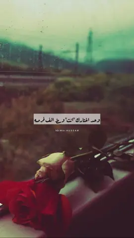 اختار اللي اختارك بقلبه.. مش بعقله ♥️             #fyp #foryou #reels #voiceover #explore 