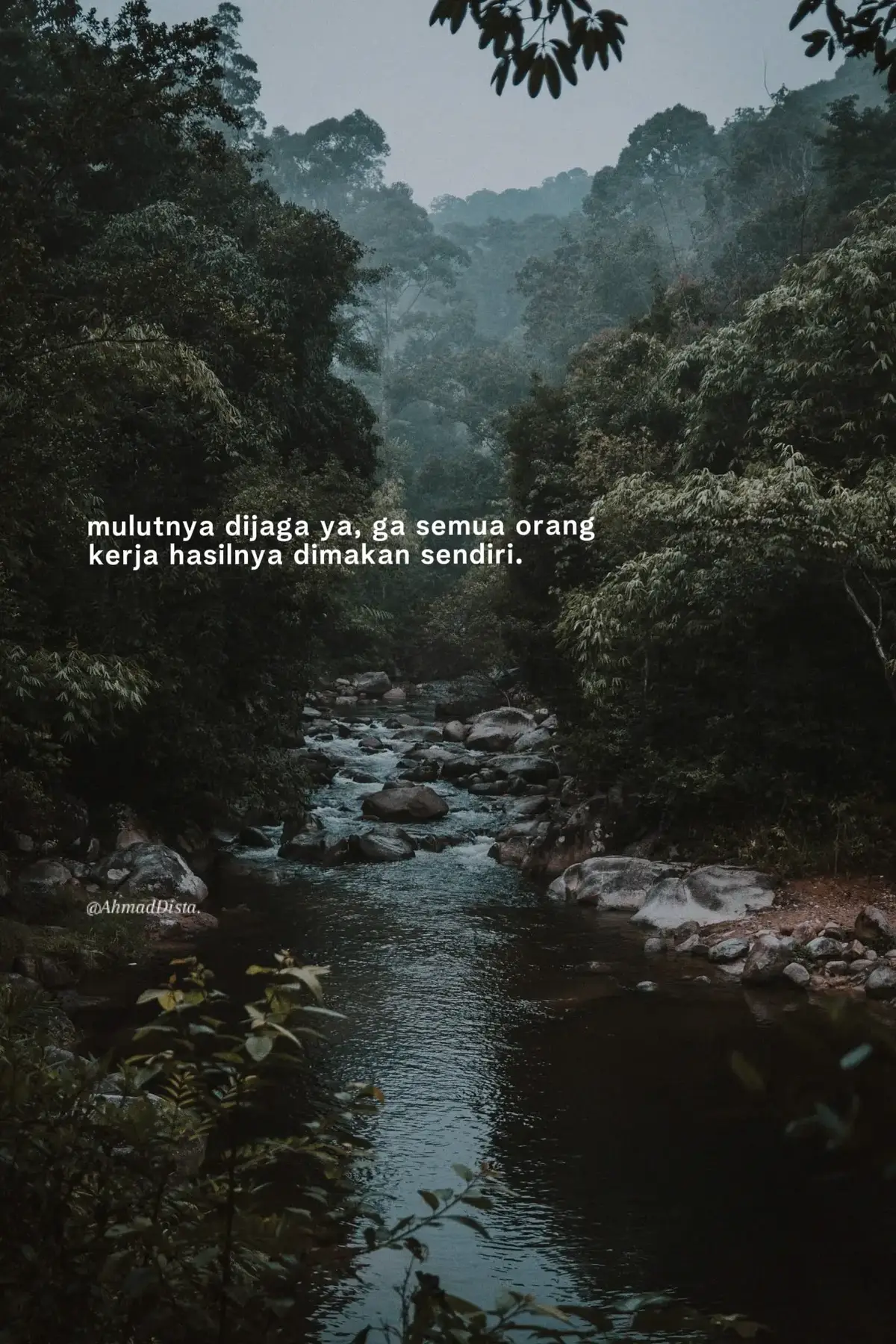 Bahan-bahan📝 :  3 butir telur ayam 15 sdm air 1/2 sdt lada bubuk 1 sdt garam 1/2 sdt penyedap (masako) 20 tusuk sate Cara Membuat 🥢 : 1.Siapkan bahan. Campurkan semua bahan dalam wadah, kemudian kocok hingga berbusa. 2.Pindahkan ke botol kecap. Panaskan minyak goreng RISE BRAND agak banyak. 3.Semprotkan telur ke minyak panas, tunggu sebentar kemudian gulung dari samping, goreng sampai kecoklatan, tiriskan. Lakukan sampai habis. 4.Siap disajikan dan selamat menikmati. Selamat mencoba!!! #katakata #4u #storytime #xzyabc #fyppppppppppppppppppppppp 