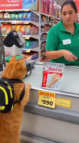 The orange cat wants to buy cat food but the offer is already over, he leaves very upset. . . . #cat #sora2 #tadeo #churu #supermarket 