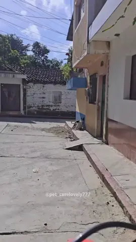 THATS JUST THE NATURE OF LIFE 😂😂 #viral #doggydoggie 