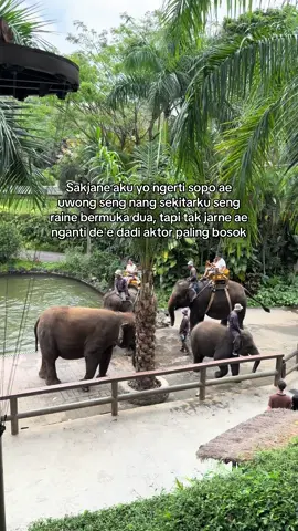 #sindiran #bahanstory #storywa 