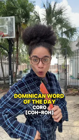 Dominican word of the day - CORO 😎🇩🇴