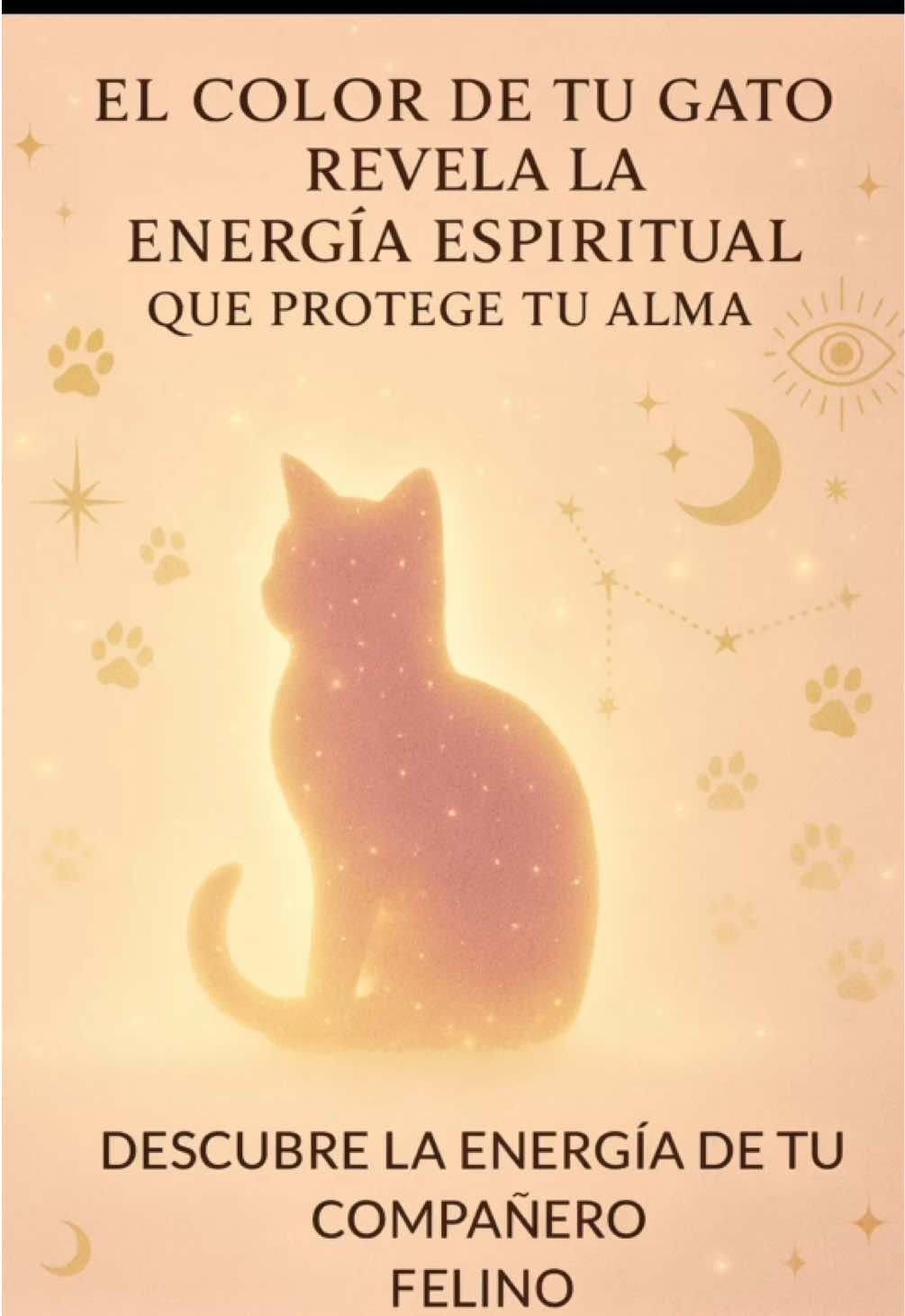 🌟 EL COLOR DE TU GATO NO ES CASUALIDAD🌟 En cada tono de su pelaje vibra una frecuencia sagrada. No llegan a tu vida por azar… el universo los envía como mensajeros, espejos de tu alma. Un gato nunca es solo compañía: ✨ Limpia tus energías. ✨ Protege tu espíritu. ✨ Despierta lo que dormía en ti. Su color es un código secreto: ⚫ Negro – guardianes contra lo invisible. 🤍 Blanco – portadores de calma y pureza. 🧡 Naranja – alegría y magnetismo vital. 🐯 Atigrado – fuerza y equilibrio ancestral. 🌈 Multicolor – alquimia, magia y transformación. 💫🐾 Dime en comentarios: ¿De qué color es el pelaje de tu gato? ✨ Agradezco de corazón la difusión de esta información, porque más personas pueden descubrir el poder espiritual de sus compañeros felinos.