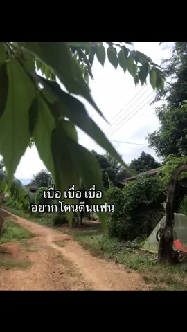 สว่น43#แชร์ไปไห้แฟน#ยืมลงสตอรี่ได้นะ #สตอรี่ความรู้สึก #you #แท็กแฟน 