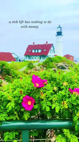 #fyp #Maine #LifeHack 