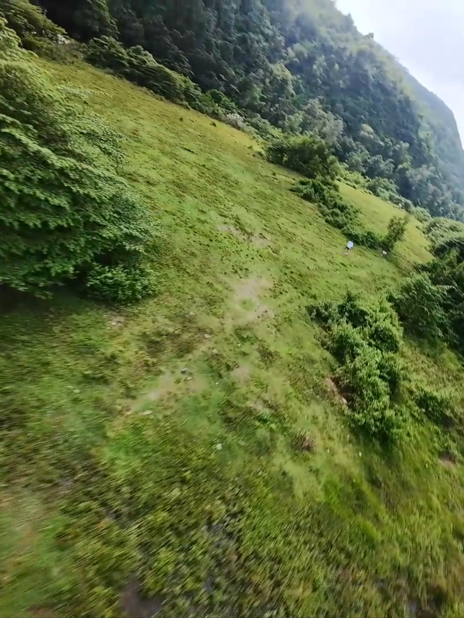 FLIGHT MUST STILL GO ON #DIY #fpv #drone #DroneLife #dronevideo