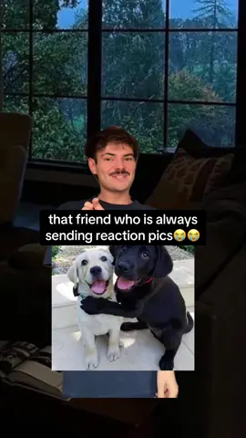 #greenscreen 😭😭😭