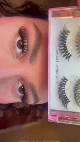 Lioness #eyeshinelashes #striplashextensions 