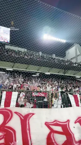 🙌 ¡Esto es @LDU Oficial y su gente! Ya comienza el partido de ida ante #Palmeiras por la semifinal de la CONMEBOL #Libertadores #TikTokDeportes #GloriaEterna 