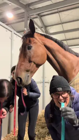 There’s a clear winner here.. #fyp #makethisviral #zephyrfarm #claraproppjjtorano #maclayfinals 