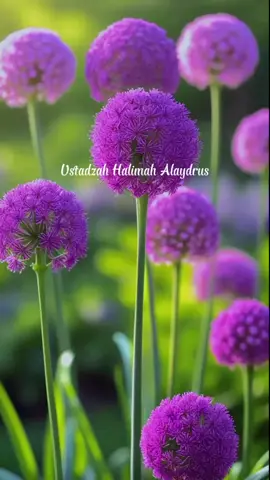 #ustadzahhalimahalaydrus #kajianislam 