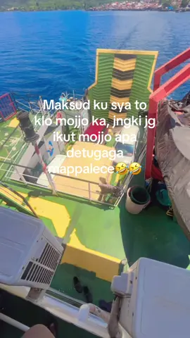 🤣🤣