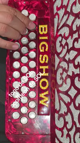 amores fingidos (intro) Carlos y José acordeon norteño by gabbanelli bigshow  #acordeon #regionalmexicano #musica #principiante #musicanorteña 