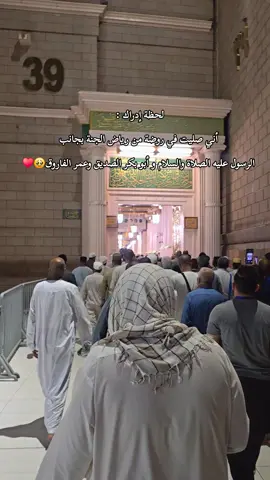 رزق الله كل مشتاق🤍 #المدينه_المنوره  #الروضه_الشريفه #مكه_المكرمه_المملكه_العربيه_السعوديه #مكه_المكرمه_المملكه_العربيه_السعوديه #fffffffffffyyyyyyyyyyypppppppppppp 