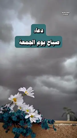 صباح الجمعة.. نسيم رحمة ونور رضا، لحظة تبدأ فيها يومك بذكر الله ودعاء من القلب، لعلها ساعة يُستجاب فيها الدعاء.  #صباح_يوم_الجمعه  #جمعة_مباركة  #الجمعة 