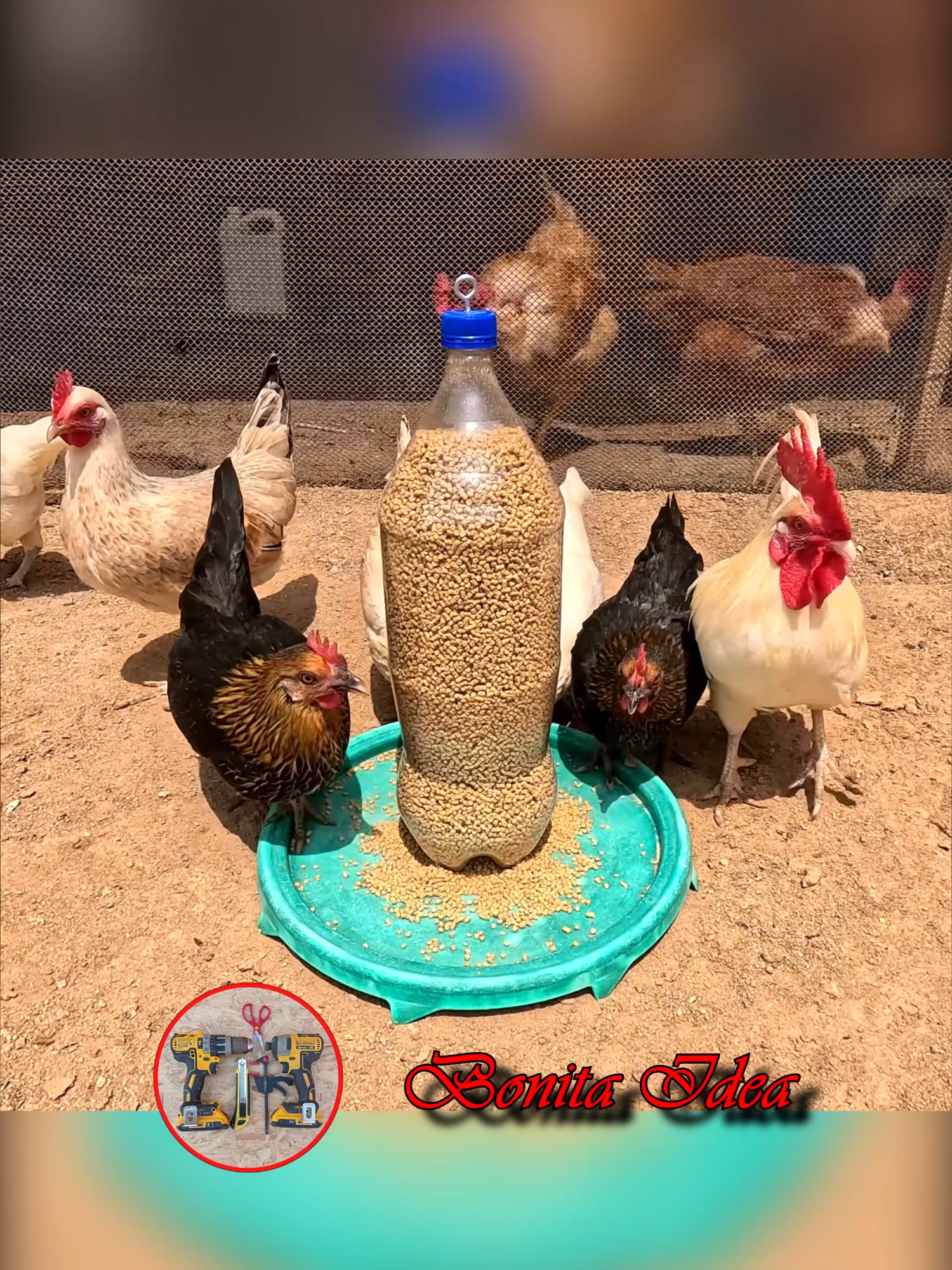 MIRA‼️Como hacer este Comedero Automático para criar a tus Gallinas 🐓🐔 hecho solo con una botella descartable y una tapa de balde Reciclado♻️♻️.