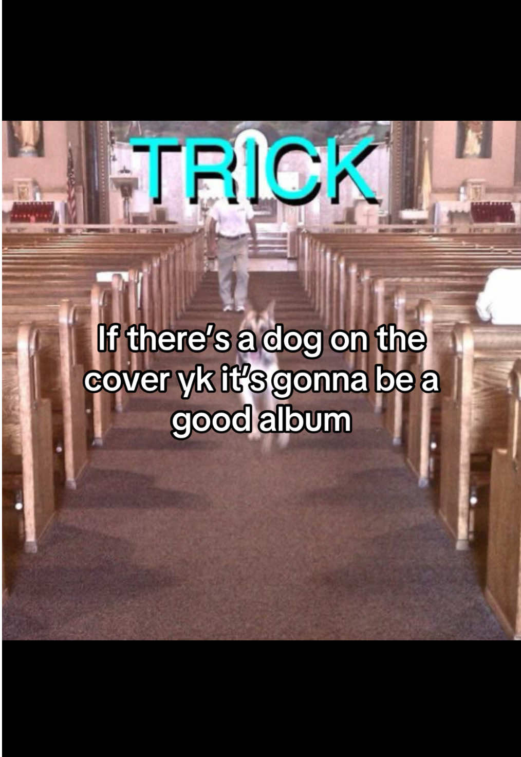 I wanted an excuse to show my favourite albums #targetaudience #dog #alexg 