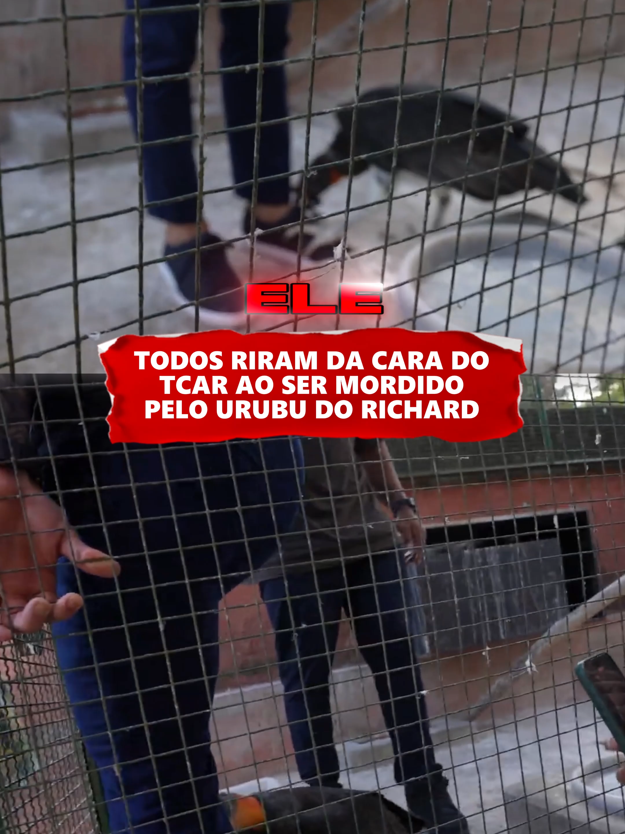 #viralvideos #viraliza #cariani #renatocariani #fyp #juliobalestrin #tcar #richardrasmussem
