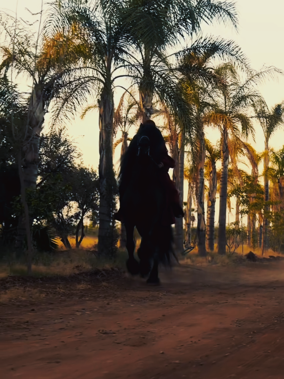 #🐎 #foryoupage #fyp #foryou #tiktok 