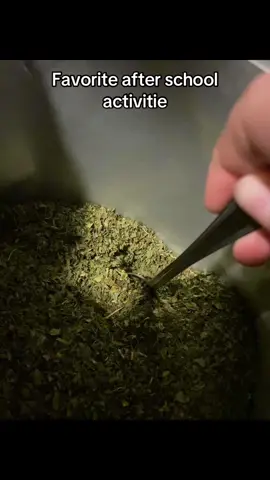 #tea #TEA #teadrinkers #teadrinks #herb 