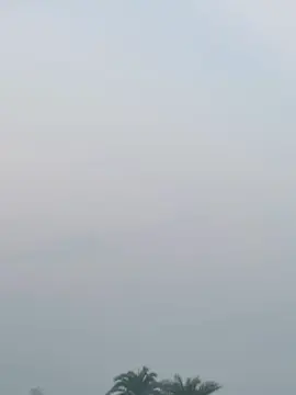 Winter is coming 🥶☘️#foryou #foryoupage #jisan0925 #bdtiktokofficial #rajshahicity 