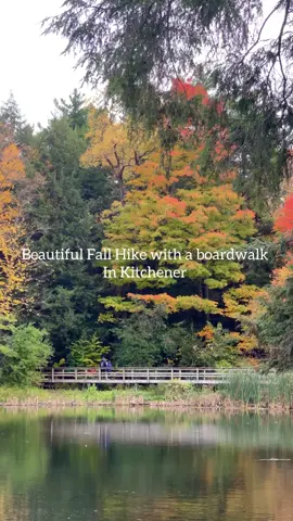 Making the most of this season🍁🍂 #fallfoliage #fallhike #ontario