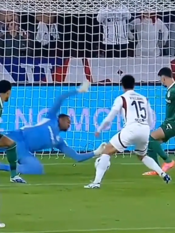 defesa de Carlos Miguel goleiro do Palmeiras hoje contra a ldu #Palmeiras #ldu #carlosmiguel 