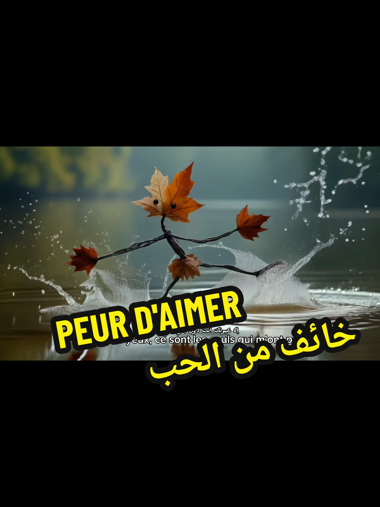 #CapCut #musique #arabicsong #lover #emotional 