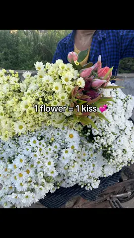 💞#fypシ゚ #moots