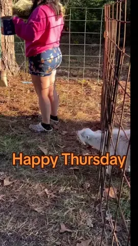 Spend the day with me! #spendthedaywithme #farmtok #homesteading #sahm #stayathomemom 