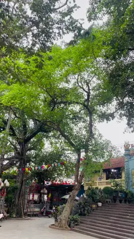 Núi xếp núi mấy tầng cao thấp  Cây chen cây tràn ngập mầu lam Đền thờ chầu bé trên ngàn Có con suối nhỏ bắc ngang chân đồi#chầu bé băc lệ