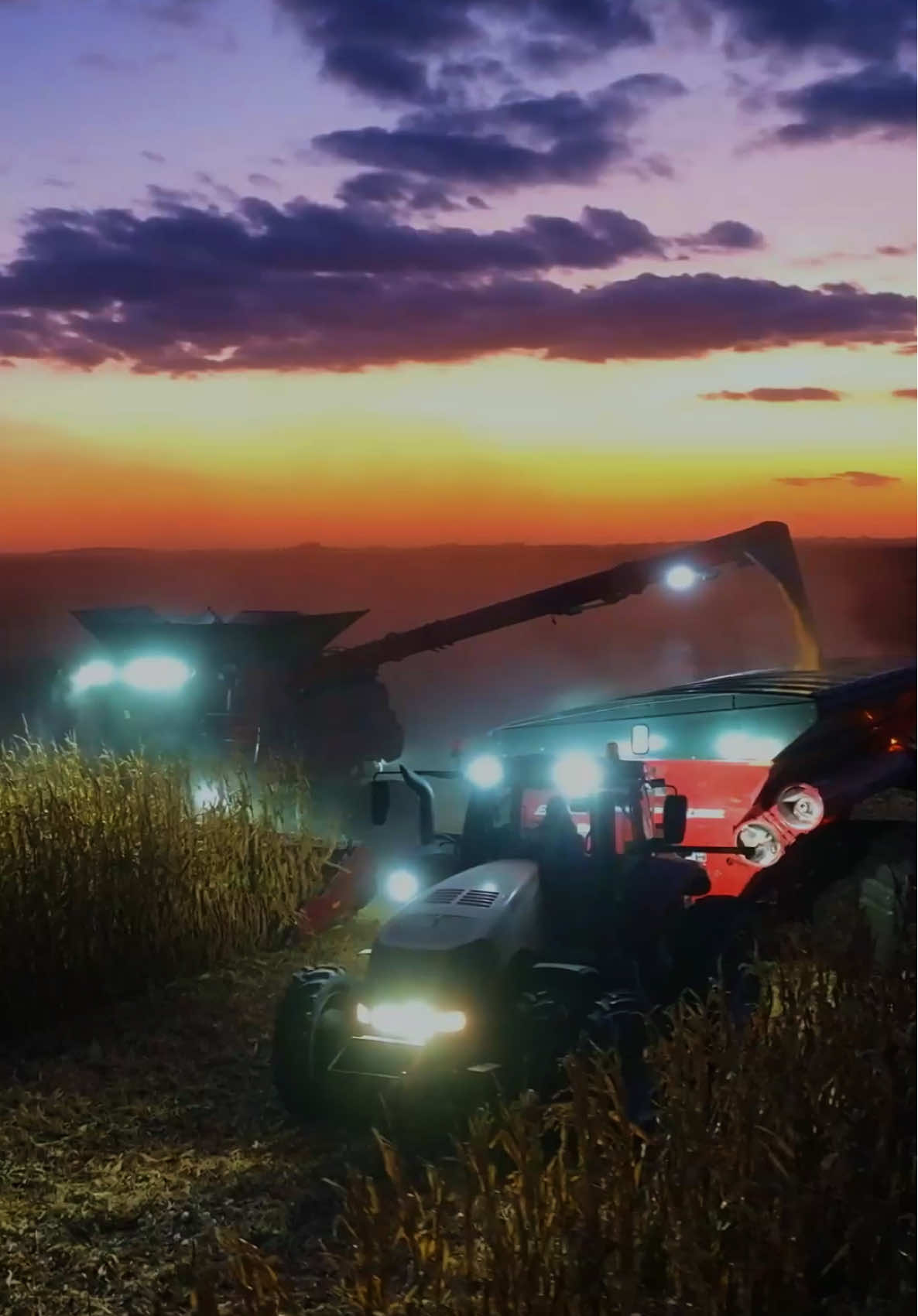 🌽 #fyp #foryou #iowafarmerblake 