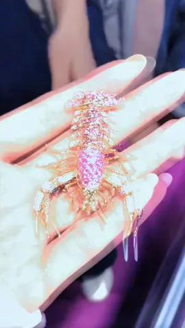 Mời cả nhà dùng bữa 🥰#chetactheoyeucau #yeutrangsuc #diamondjewelry #thietketrangsuc #yeutrangsuckimcuong 