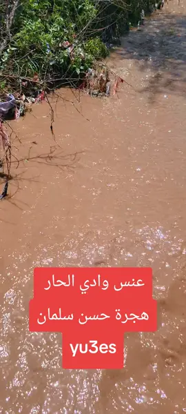 #اليمن🇾🇪 #ذمار_صنعاء__إب_تعز #parati #pov 