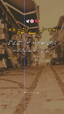 Dear tiktok team don't under review my video🌸😊 #fyp #poetrystatus #aqibaesthetics #urdupoetry  #asthetics 