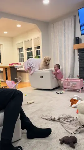 Two pals😆 #dog #goldenretriever #toddlersoftiktok #bestfriend #puppy 