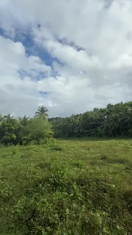 spontaneous laag nga wala namao😭 @sevirous @thel @yobik 