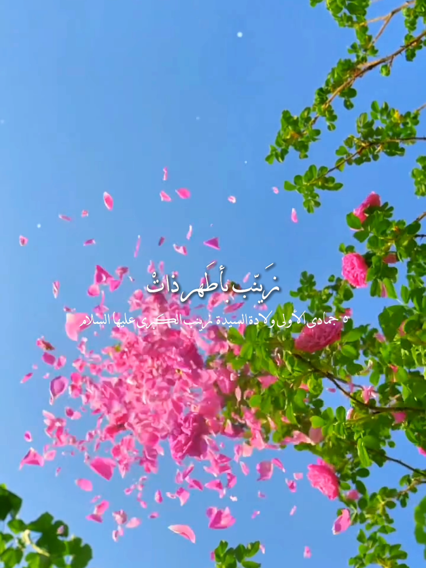 متباركين بذكرى ولادة السيدة زينب عليها السلام 💐💚 .  عالدنيا زينب اشرقت || باسم الكربلائي  .  #متباركين #السيدة_زينب #عقيلة_بني_هاشم #العقيله #explore 