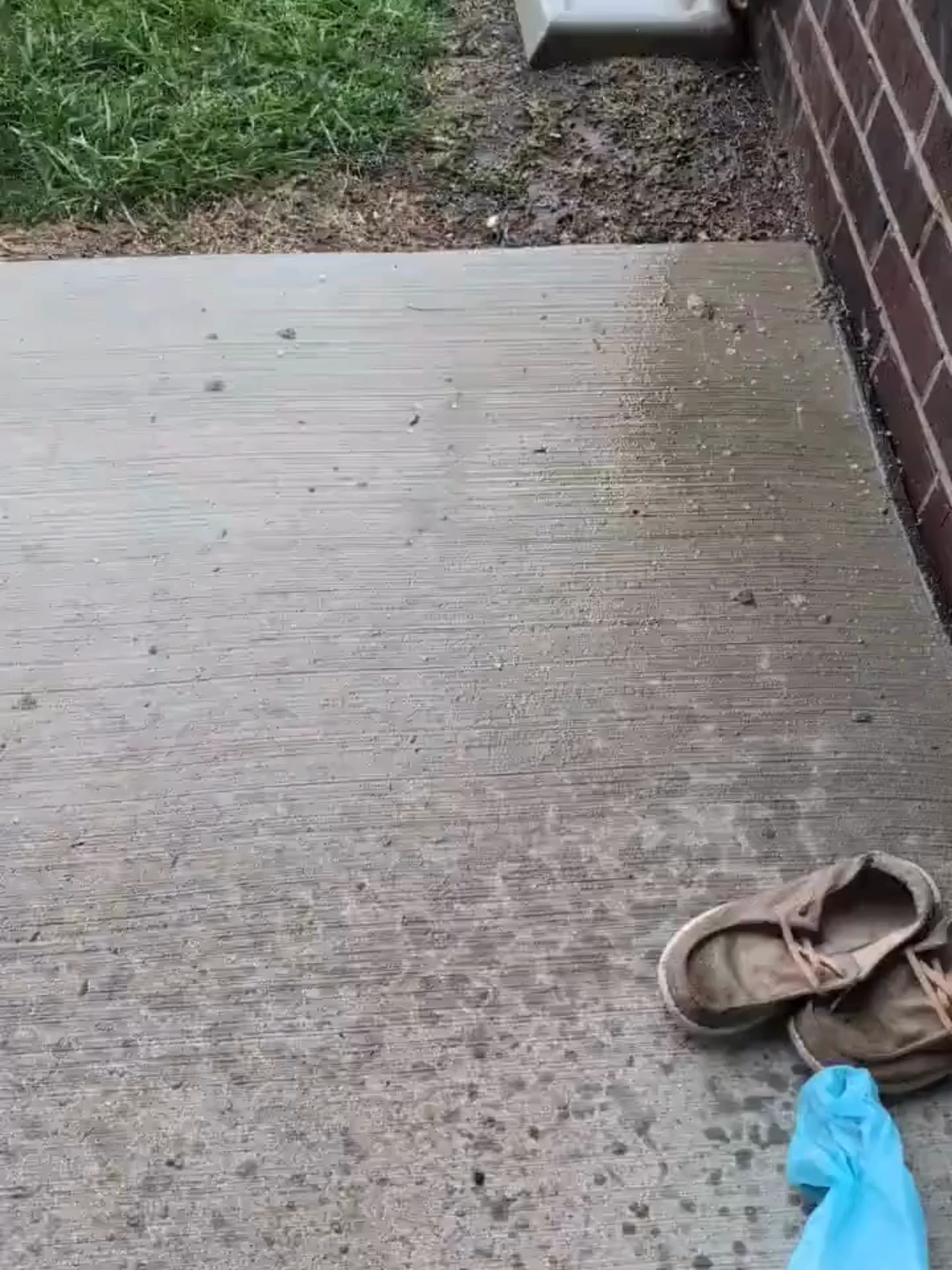 People in Jackson, Michigan, encountered pea-sized hail and strong winds, as one resident captured the weather on Tuesday. #Michigan #hail #rain #windy #FoxWeather