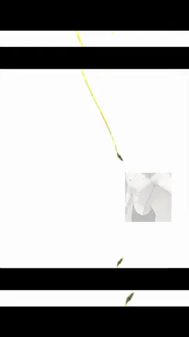 #من #ابو #دربيل#تصميم_فيديوهات🎶🎤🎬تصميمي🔥مجرد #😴☕🎼😴☕🎼😴☕🎼 