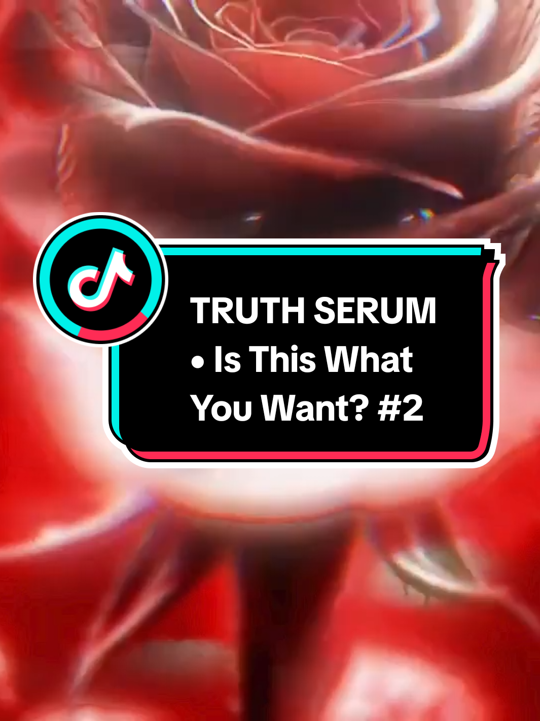 Discography  Judul Lagu : Is This What You Want ? Band : TRUTH SERUM Album :  - Rilis Singles : 6 Oktober 2025 Genre : Metal , Metalcore , Deathcore  #BapakAnakDaily  #Metalheads #Metalcore #TruthSerum #IsThisWhatYouWant 