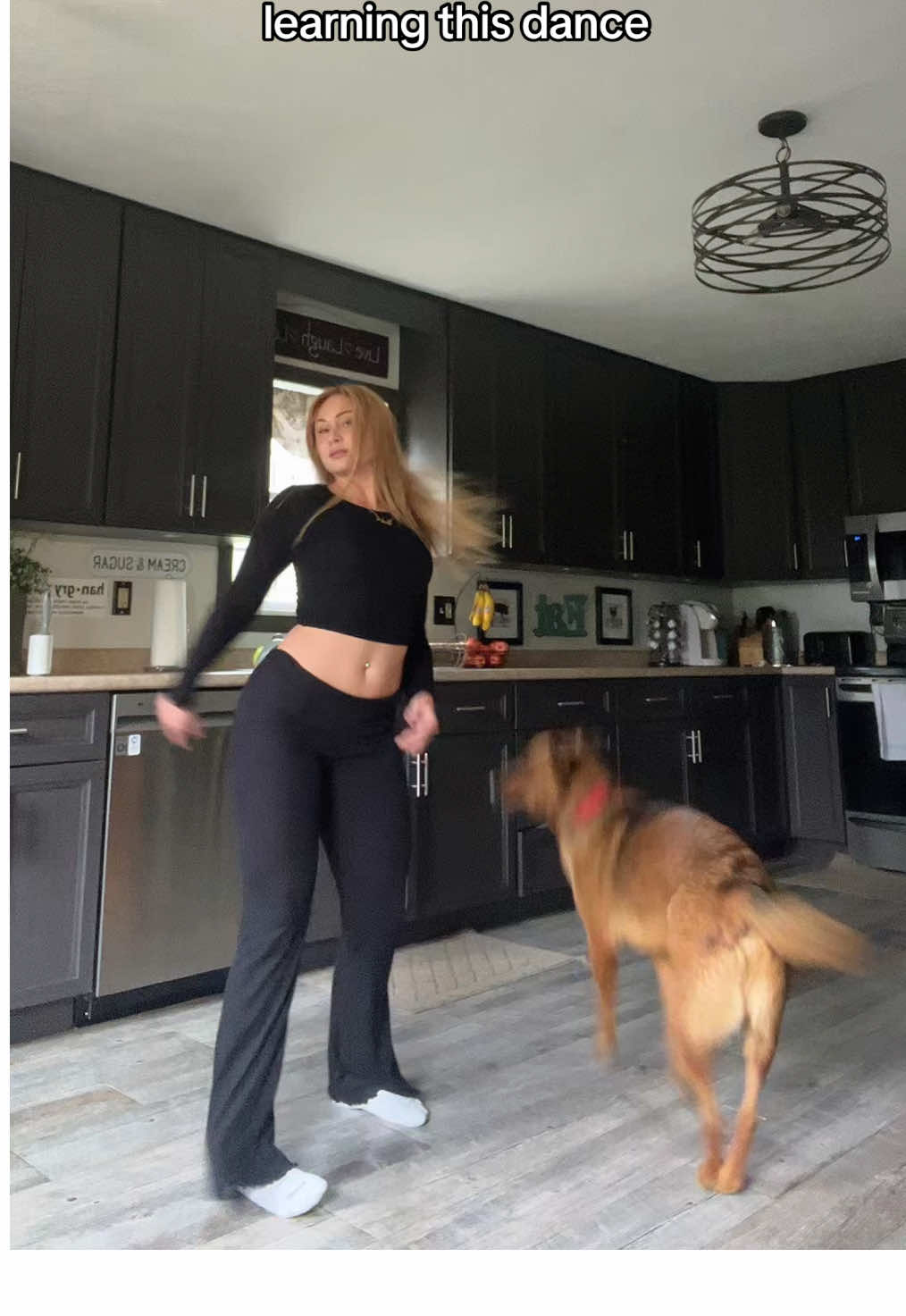 He wants to dance #yesistilllovethissong 