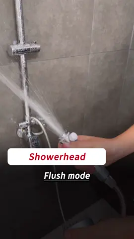 Your skin deserves this🐾 This filtered high-pressure head gives pure, strong water—grab it now! #showerhead  #showerupgrade  #showerheadfilter  #homeimprovement  #highpressureshowerhead  #tiktokshopmademebuyit  #bathroom 