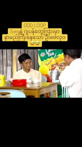 #ODDLOOP #ဗေလုဝရေနွေးကြမ်း #fypシ゚ #japan #tiktokjapan🇯🇵 